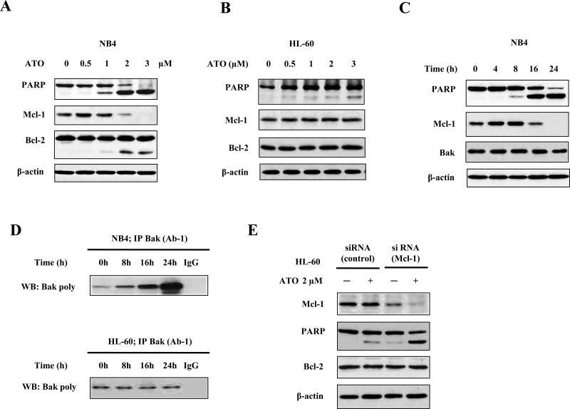 https://cdn.ncbi.nlm.nih.gov/pmc/blobs/d532/3478411/ae1fc604cf9d/nihms-386393-f0001.jpg