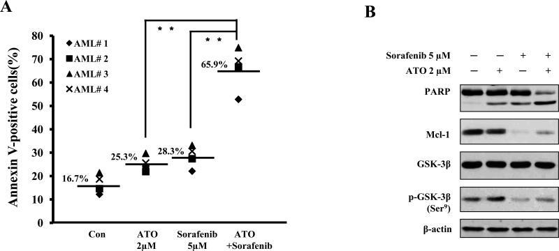 https://cdn.ncbi.nlm.nih.gov/pmc/blobs/d532/3478411/e0c0827cfdb3/nihms-386393-f0007.jpg