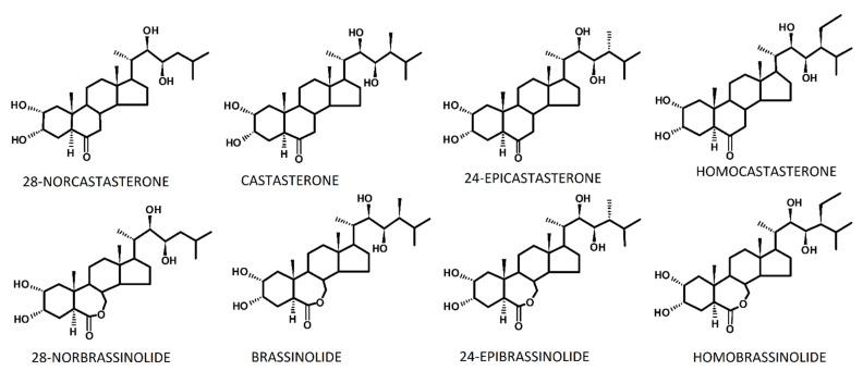https://cdn.ncbi.nlm.nih.gov/pmc/blobs/d532/8745458/fd82611b7cc1/ijms-23-00342-g001.jpg