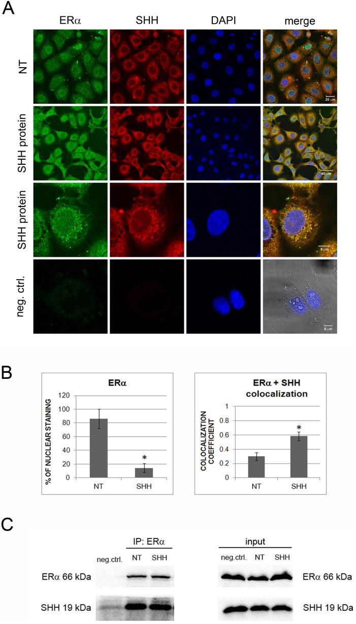 https://cdn.ncbi.nlm.nih.gov/pmc/blobs/d534/4264763/00b303d6c601/pone.0114510.g007.jpg