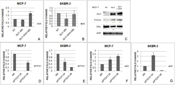 https://cdn.ncbi.nlm.nih.gov/pmc/blobs/d534/4264763/4ff2e8156152/pone.0114510.g006.jpg
