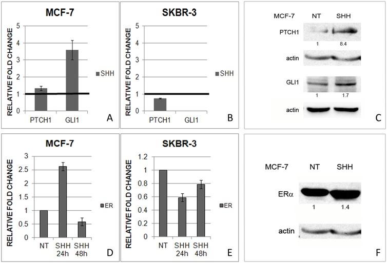 https://cdn.ncbi.nlm.nih.gov/pmc/blobs/d534/4264763/eddb708d0c11/pone.0114510.g005.jpg