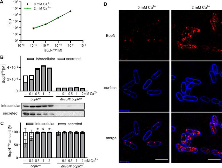 https://cdn.ncbi.nlm.nih.gov/pmc/blobs/d535/10269732/728a58799fd9/spectrum.04112-22-f003.jpg