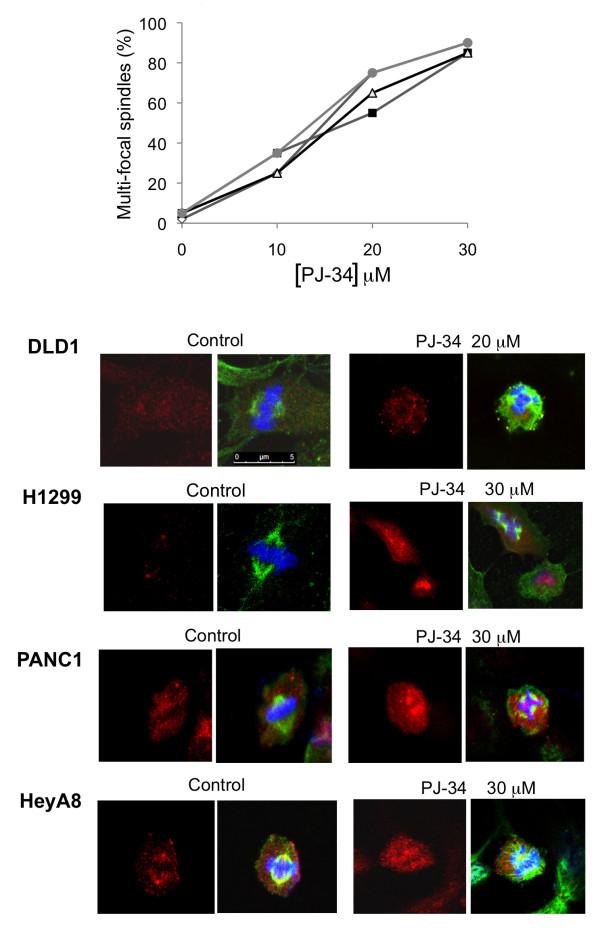 https://cdn.ncbi.nlm.nih.gov/pmc/blobs/d536/3204305/40bb89c5b2af/1471-2407-11-412-6.jpg