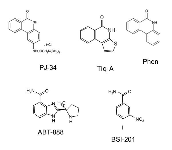 https://cdn.ncbi.nlm.nih.gov/pmc/blobs/d536/3204305/df954ecc0aa5/1471-2407-11-412-1.jpg