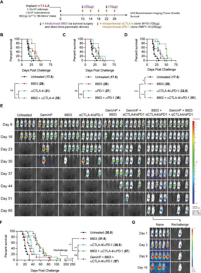 https://cdn.ncbi.nlm.nih.gov/pmc/blobs/d536/8330562/4f24c6989120/jitc-2021-003246f06.jpg