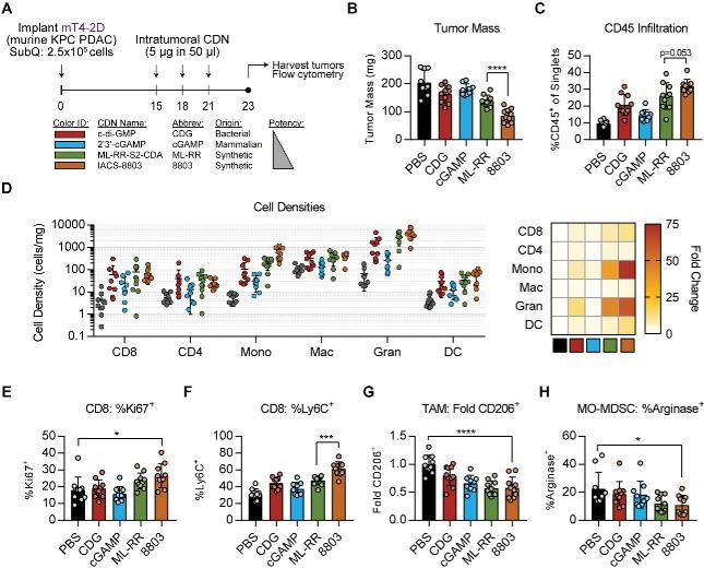 https://cdn.ncbi.nlm.nih.gov/pmc/blobs/d536/8330562/633b9944ab5d/jitc-2021-003246f01.jpg