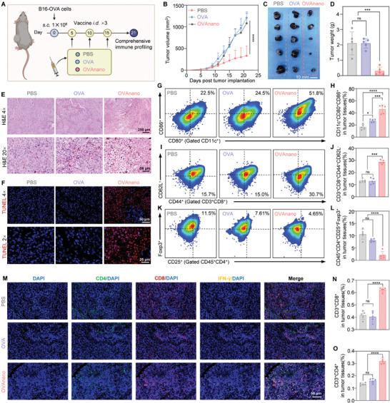 https://cdn.ncbi.nlm.nih.gov/pmc/blobs/d537/11650550/9dff0779795b/ADHM-13-0-g008.jpg