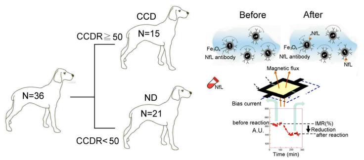 https://cdn.ncbi.nlm.nih.gov/pmc/blobs/d538/10531274/d50d361d2702/ijms-24-13771-g001.jpg