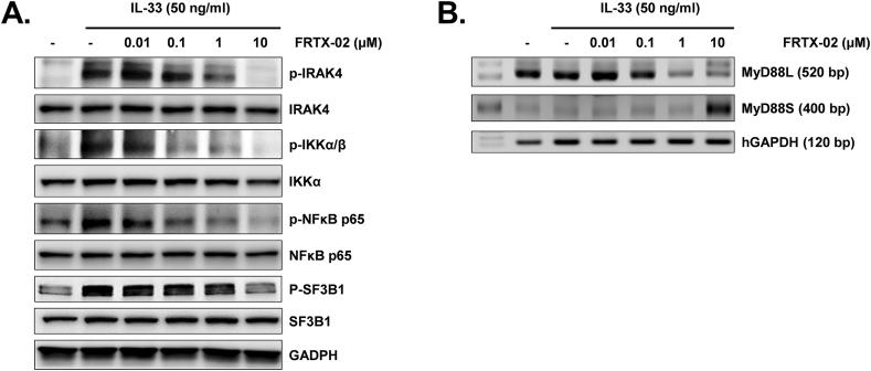https://cdn.ncbi.nlm.nih.gov/pmc/blobs/d538/9841288/4856e109e898/gr4.jpg