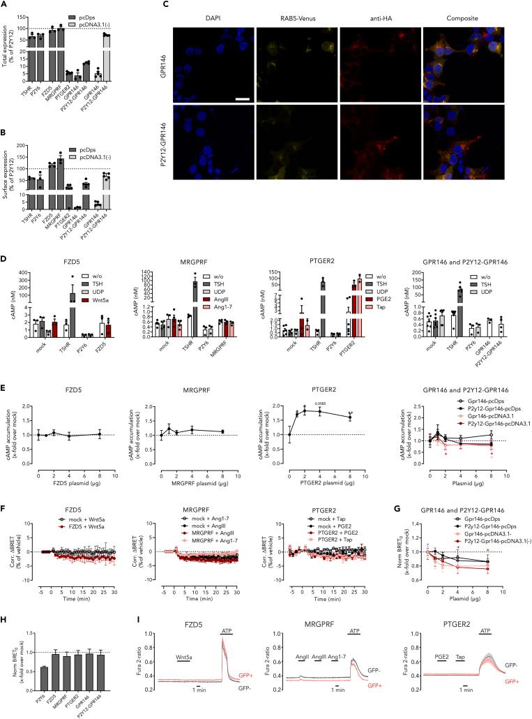 https://cdn.ncbi.nlm.nih.gov/pmc/blobs/d539/10520334/6501306b7c53/gr4.jpg