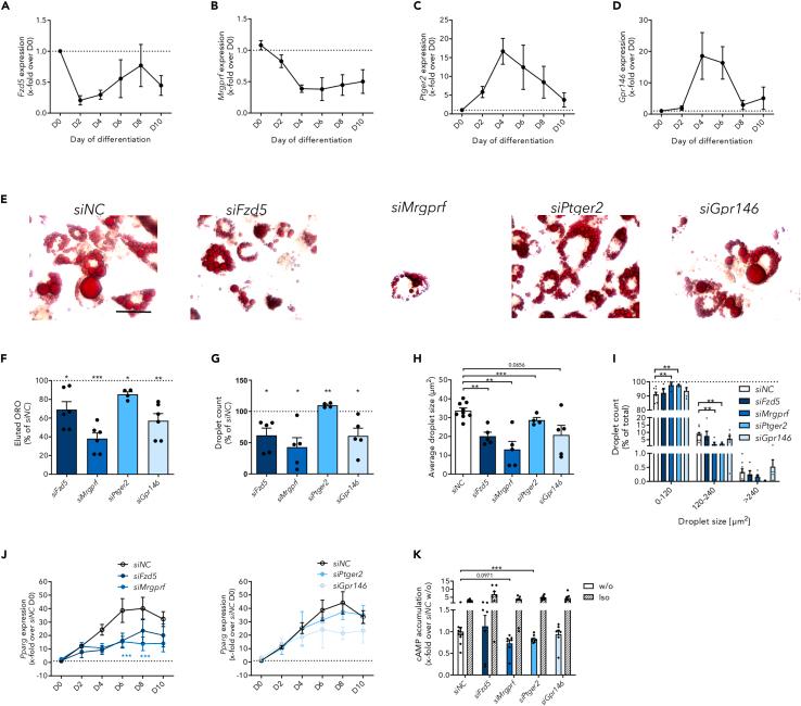 https://cdn.ncbi.nlm.nih.gov/pmc/blobs/d539/10520334/e72949a0d72d/gr5.jpg