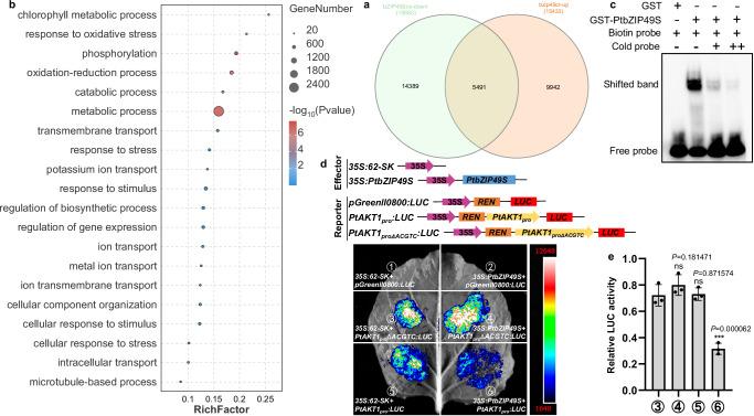 https://cdn.ncbi.nlm.nih.gov/pmc/blobs/d53d/12328635/93af5b444a45/41467_2025_62448_Fig4_HTML.jpg