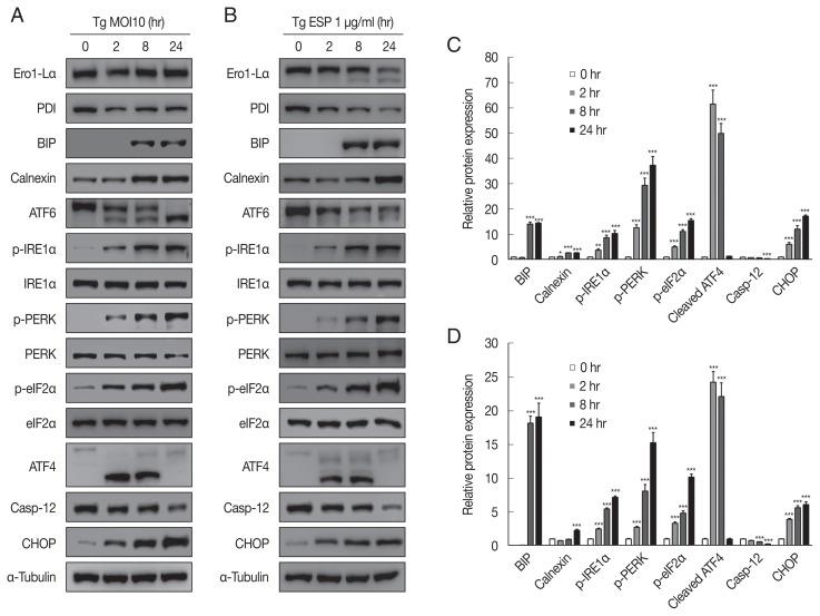 https://cdn.ncbi.nlm.nih.gov/pmc/blobs/d53d/8721304/1c39e614c312/kjp-59-6-573f3.jpg