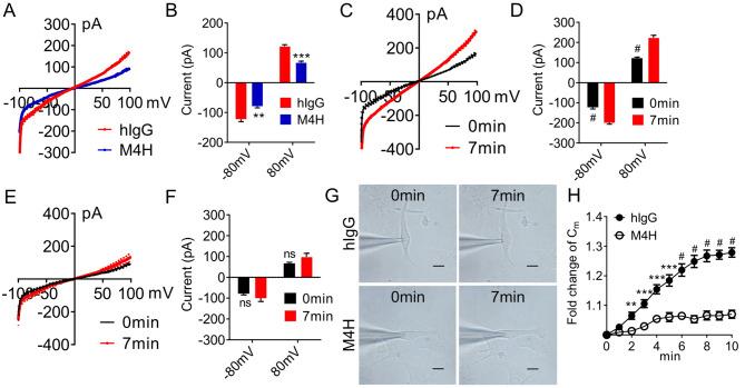 https://cdn.ncbi.nlm.nih.gov/pmc/blobs/d540/12141489/25fd3d4e3faf/41598_2025_5256_Fig6_HTML.jpg