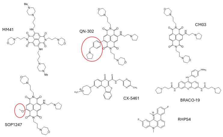 https://cdn.ncbi.nlm.nih.gov/pmc/blobs/d547/11314571/749a155690dd/molecules-29-03653-g001.jpg