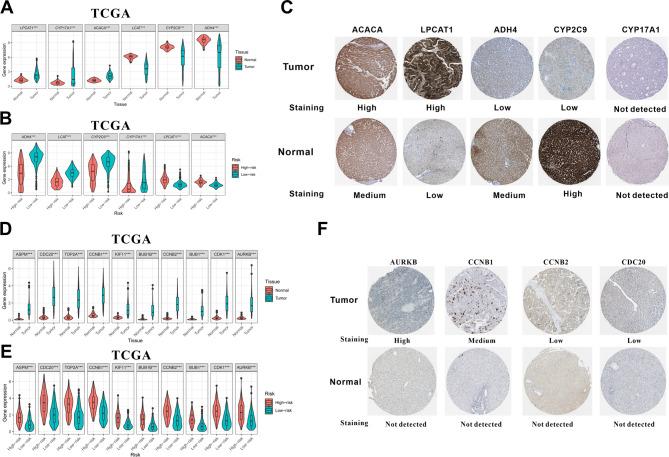 https://cdn.ncbi.nlm.nih.gov/pmc/blobs/d547/12090435/06efc06d8832/12885_2025_14306_Fig6_HTML.jpg