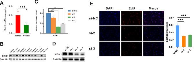 https://cdn.ncbi.nlm.nih.gov/pmc/blobs/d547/12090435/b42439cffa59/12885_2025_14306_Fig7_HTML.jpg