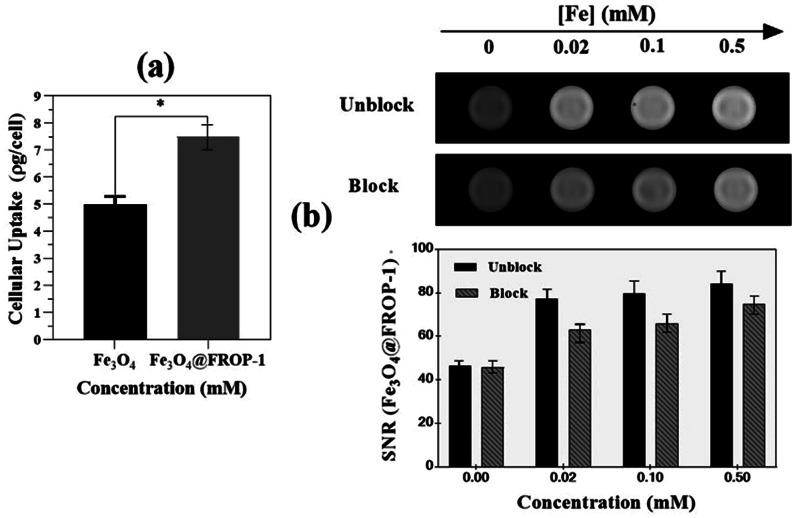 https://cdn.ncbi.nlm.nih.gov/pmc/blobs/d548/12044754/583691a73031/42490_2025_91_Fig5_HTML.jpg