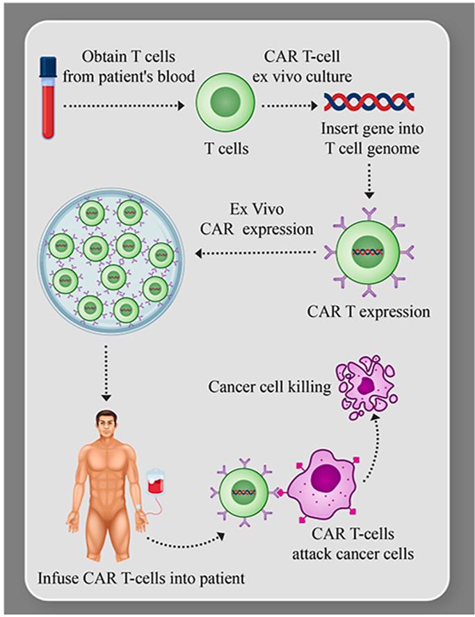 https://cdn.ncbi.nlm.nih.gov/pmc/blobs/d548/8144892/41683caf019e/fx1.jpg