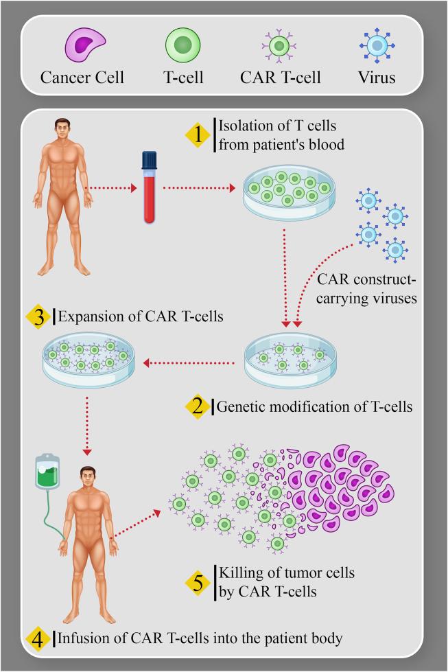https://cdn.ncbi.nlm.nih.gov/pmc/blobs/d548/8144892/ca9da0712250/gr2.jpg