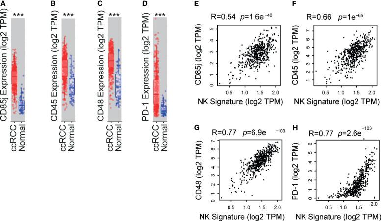 https://cdn.ncbi.nlm.nih.gov/pmc/blobs/d548/8212993/81496db0156d/fimmu-12-681615-g005.jpg