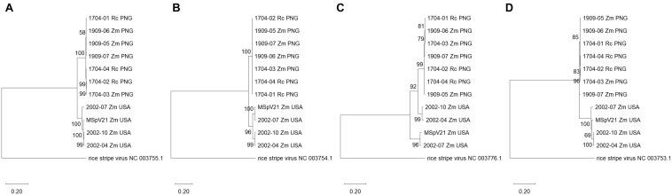 https://cdn.ncbi.nlm.nih.gov/pmc/blobs/d549/8238005/7d1021cc4e84/fmicb-12-684599-g004.jpg