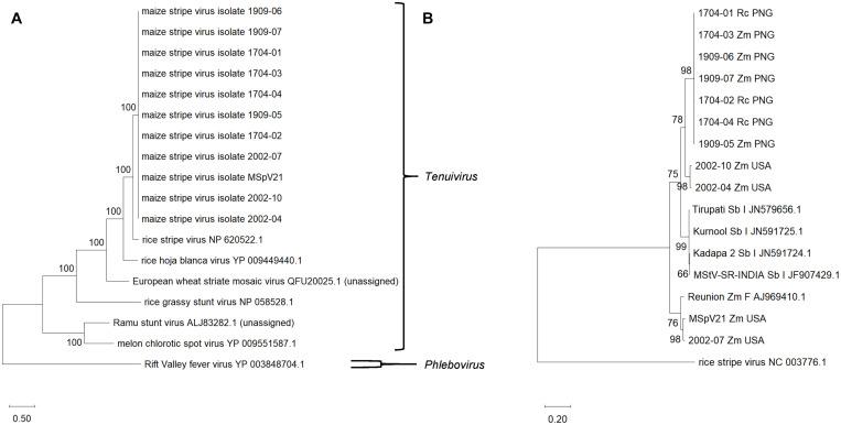 https://cdn.ncbi.nlm.nih.gov/pmc/blobs/d549/8238005/9b831f27b0fb/fmicb-12-684599-g003.jpg