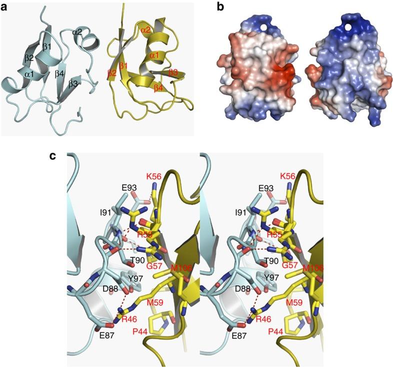https://cdn.ncbi.nlm.nih.gov/pmc/blobs/d54b/3615468/7640e852a9af/ncomms2581-f5.jpg