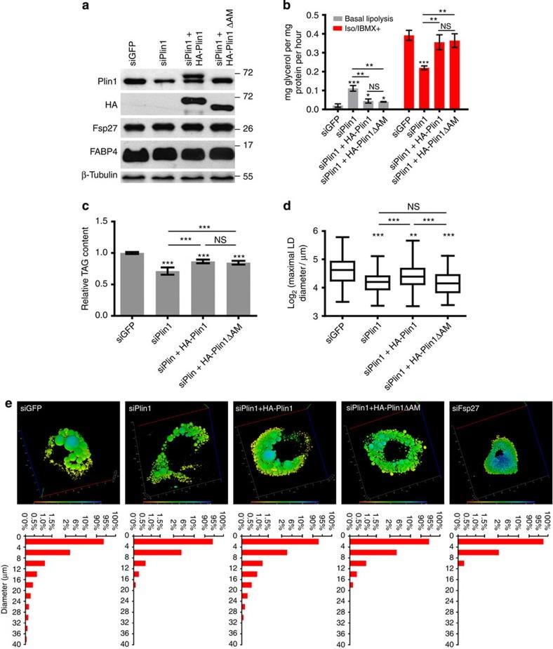 https://cdn.ncbi.nlm.nih.gov/pmc/blobs/d54b/3615468/a6fb035658c5/ncomms2581-f4.jpg