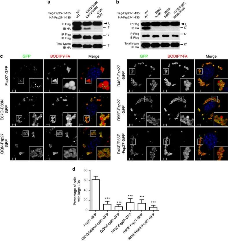 https://cdn.ncbi.nlm.nih.gov/pmc/blobs/d54b/3615468/de3afddd34ef/ncomms2581-f6.jpg