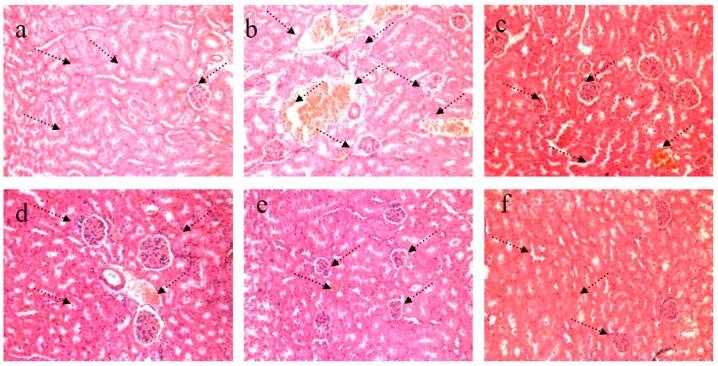 https://cdn.ncbi.nlm.nih.gov/pmc/blobs/d54e/5579595/81f436ab08bc/nutrients-09-00801-g004.jpg
