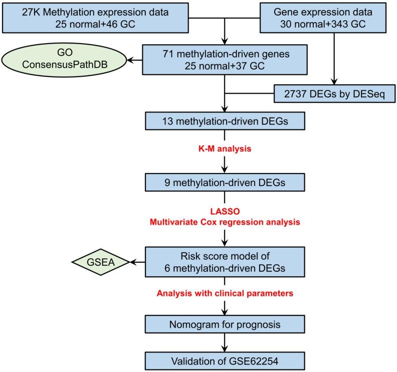 https://cdn.ncbi.nlm.nih.gov/pmc/blobs/d54e/7053317/4e99965f5d91/ijbsv16p1153g001.jpg
