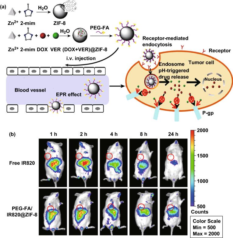 https://cdn.ncbi.nlm.nih.gov/pmc/blobs/d554/7770922/ac2866fc29fa/40820_2020_423_Fig7_HTML.jpg