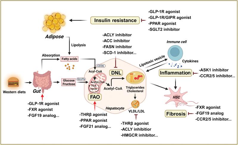 https://cdn.ncbi.nlm.nih.gov/pmc/blobs/d559/11749562/b5887ec7347b/loae029_fig1.jpg