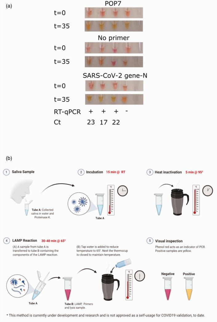 https://cdn.ncbi.nlm.nih.gov/pmc/blobs/d55d/7437369/3f3118335faf/10.1177_1535370220941819-fig3.jpg