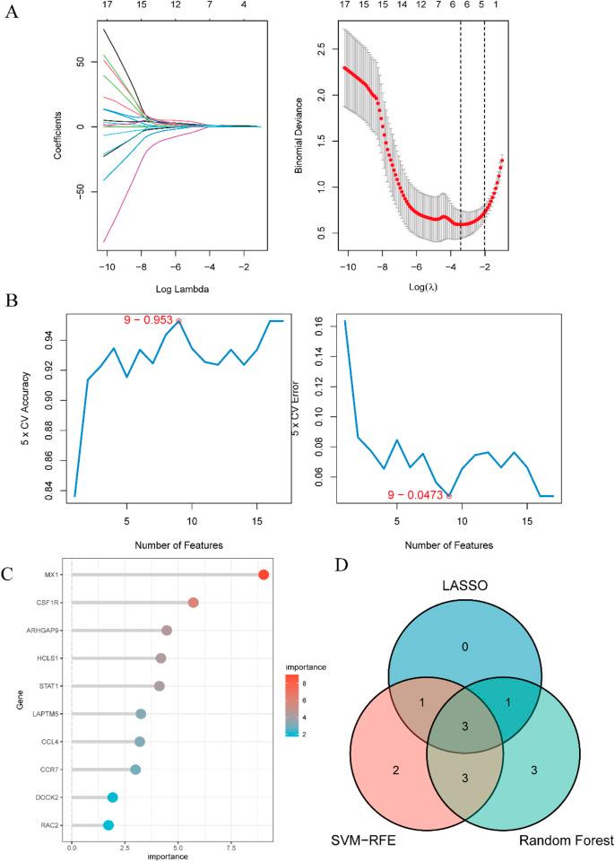 https://cdn.ncbi.nlm.nih.gov/pmc/blobs/d55f/12343227/9309865a1205/fgene-16-1546315-g006.jpg