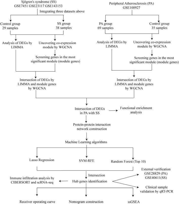 https://cdn.ncbi.nlm.nih.gov/pmc/blobs/d55f/12343227/9c2f0470a1dc/fgene-16-1546315-g001.jpg
