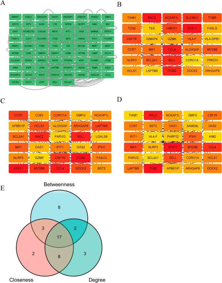 https://cdn.ncbi.nlm.nih.gov/pmc/blobs/d55f/12343227/ad63c92be2a3/fgene-16-1546315-g005.jpg