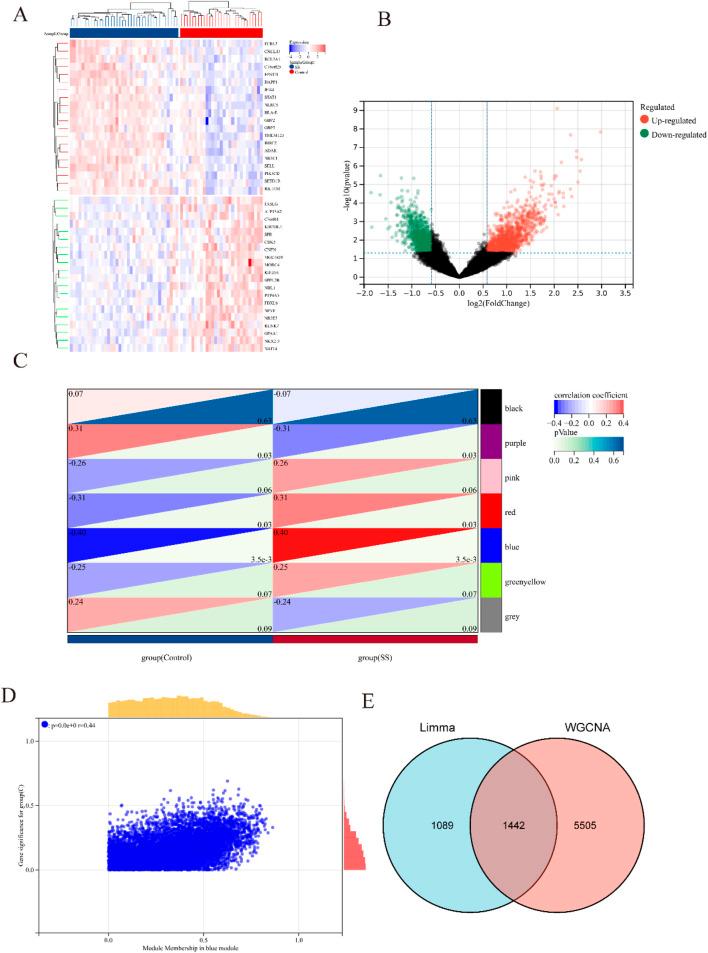 https://cdn.ncbi.nlm.nih.gov/pmc/blobs/d55f/12343227/bc61e7ce157b/fgene-16-1546315-g002.jpg
