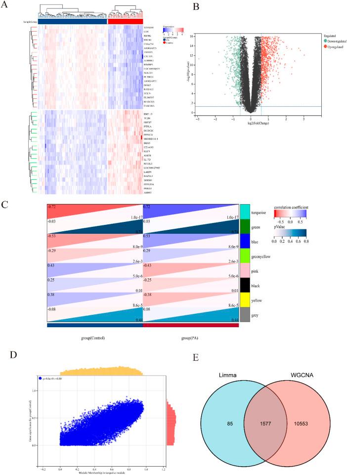 https://cdn.ncbi.nlm.nih.gov/pmc/blobs/d55f/12343227/caff0c644cdb/fgene-16-1546315-g003.jpg