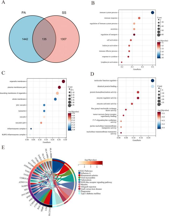 https://cdn.ncbi.nlm.nih.gov/pmc/blobs/d55f/12343227/f3286082bd90/fgene-16-1546315-g004.jpg