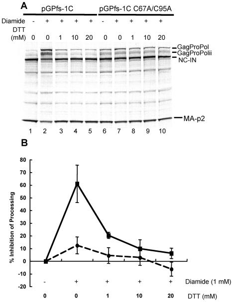 https://cdn.ncbi.nlm.nih.gov/pmc/blobs/d55f/2962637/155ce1b3312e/pone.0013595.g005.jpg