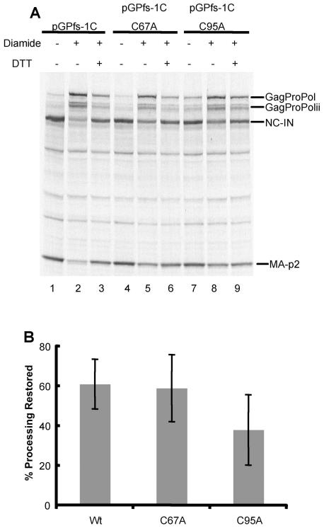 https://cdn.ncbi.nlm.nih.gov/pmc/blobs/d55f/2962637/37ef0781f605/pone.0013595.g006.jpg