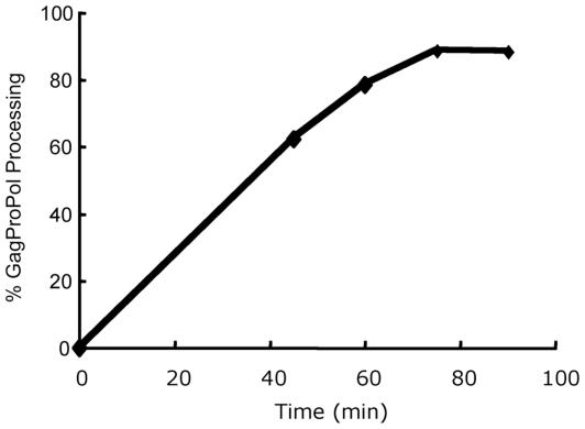 https://cdn.ncbi.nlm.nih.gov/pmc/blobs/d55f/2962637/bd9d7c834cf6/pone.0013595.g002.jpg