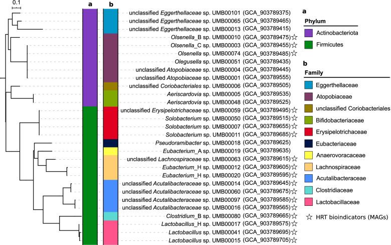 https://cdn.ncbi.nlm.nih.gov/pmc/blobs/d562/8952268/6cd39bd259c5/40168_2021_1219_Fig7_HTML.jpg