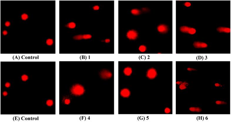 https://cdn.ncbi.nlm.nih.gov/pmc/blobs/d563/5127189/3355ba6dfd54/srep37644-f15.jpg