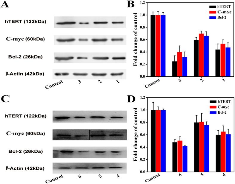 https://cdn.ncbi.nlm.nih.gov/pmc/blobs/d563/5127189/7c93096bdfff/srep37644-f10.jpg