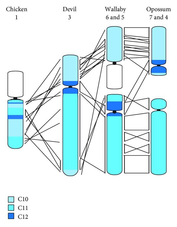 https://cdn.ncbi.nlm.nih.gov/pmc/blobs/d564/3820666/2bbc78132485/SCIENTIFICA2012-543176.004.jpg