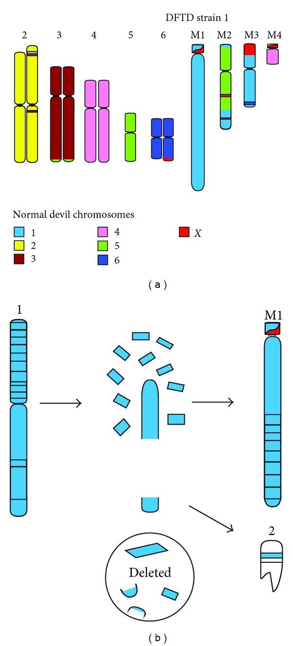 https://cdn.ncbi.nlm.nih.gov/pmc/blobs/d564/3820666/b31837994f8a/SCIENTIFICA2012-543176.005.jpg